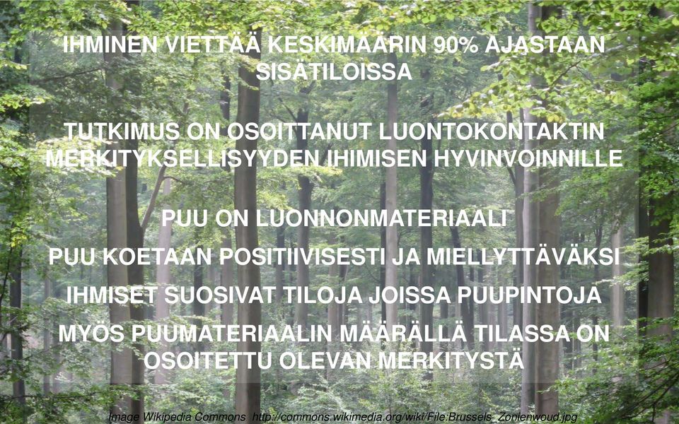 MERKITYKSELLISYYDEN IHIMISEN HYVINVOINNILLE PUU ON LUONNONMATERIAALI PUU KOETAAN POSITIIVISESTI JA