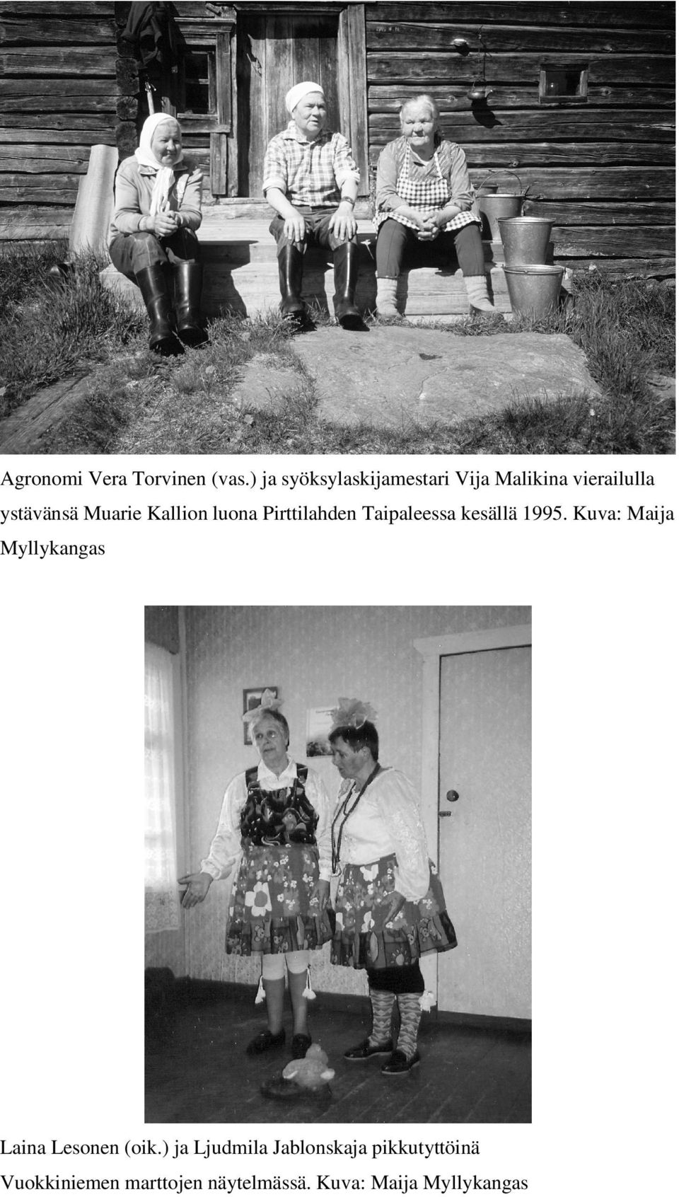 Kallion luona Pirttilahden Taipaleessa kesällä 1995.