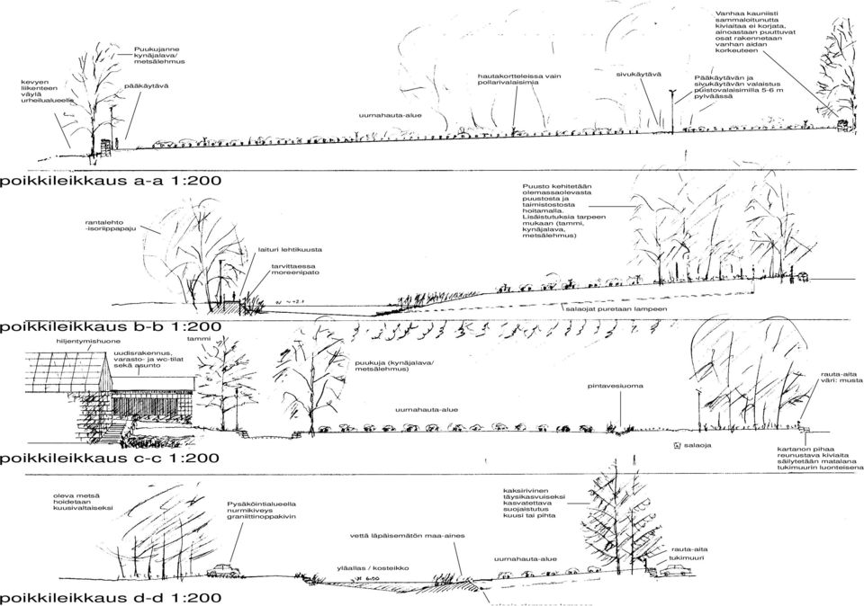 poikkileikkaus a-a 1:200 rantalehto -isoriippapaju Puusto kehitetään olemassaolevasta puustosta ja taimistostosta hoitamalla.