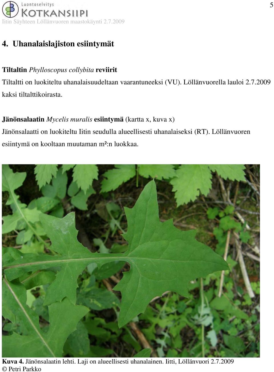 Löllänvuorella lauloi 2.7.2009 kaksi tiltalttikoirasta.