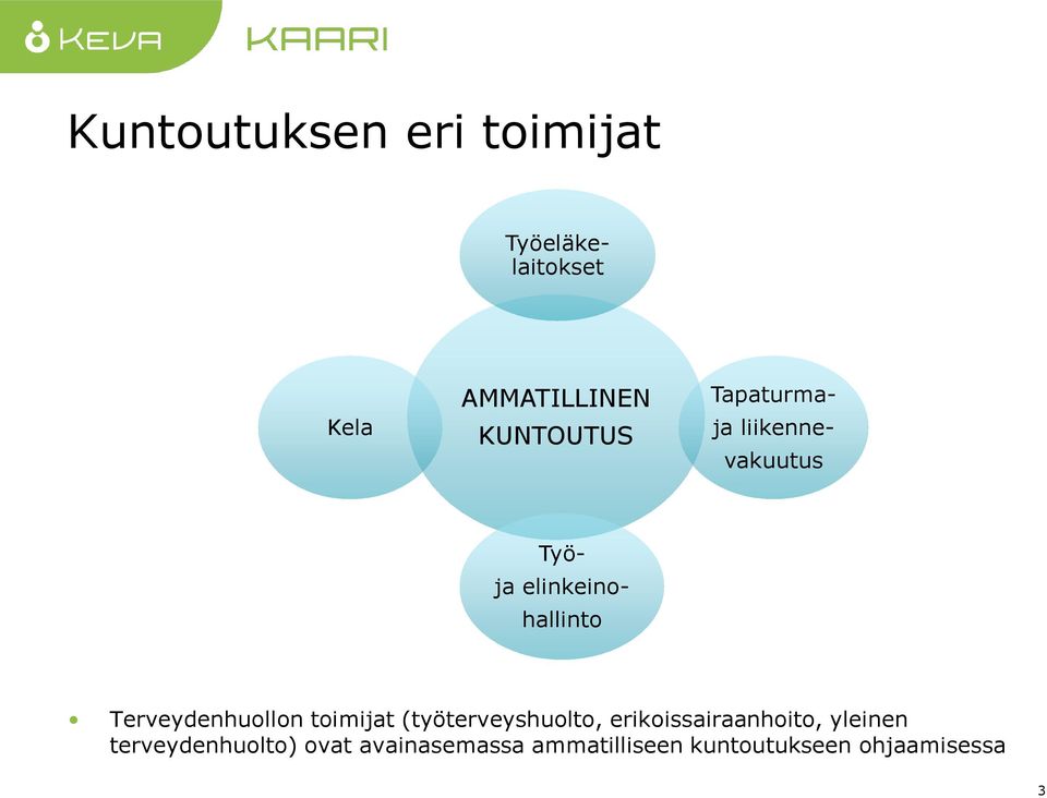 Terveydenhuollon toimijat (työterveyshuolto, erikoissairaanhoito,