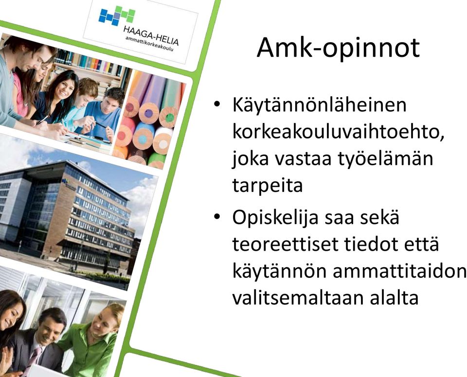 työelämän tarpeita Opiskelija saa sekä