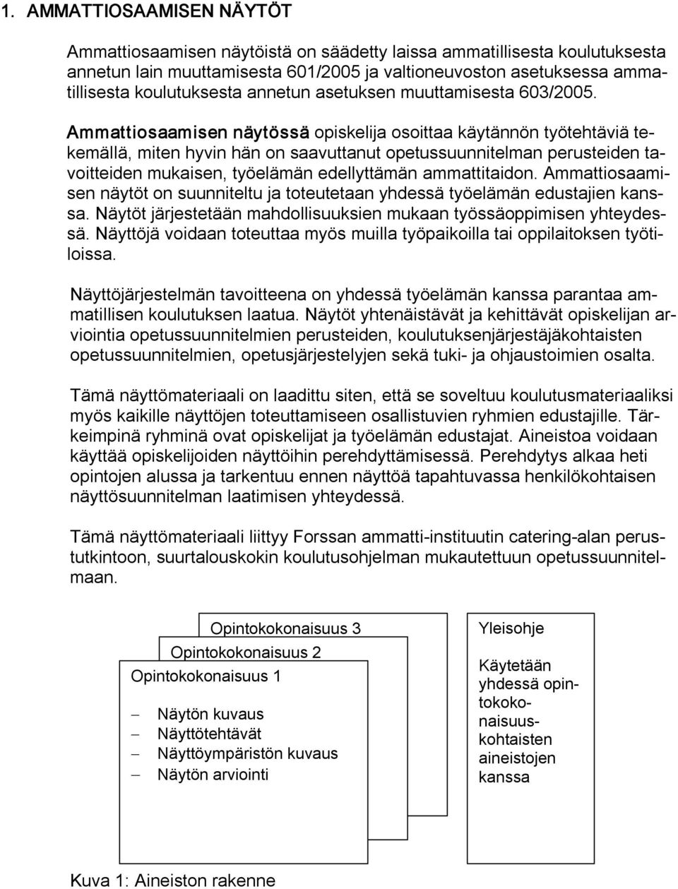 Ammattiosaamisen näytössä opiskelija osoittaa käytännön työtehtäviä tekemällä, miten hyvin hän on saavuttanut opetussuunnitelman perusteiden tavoitteiden mukaisen, työelämän edellyttämän