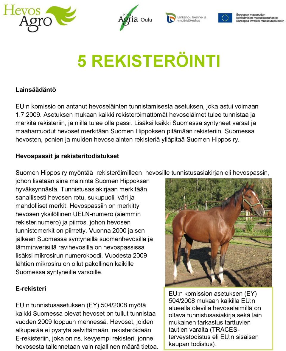 Lisäksi kaikki Suomessa syntyneet varsat ja maahantuodut hevoset merkitään Suomen Hippoksen pitämään rekisteriin.
