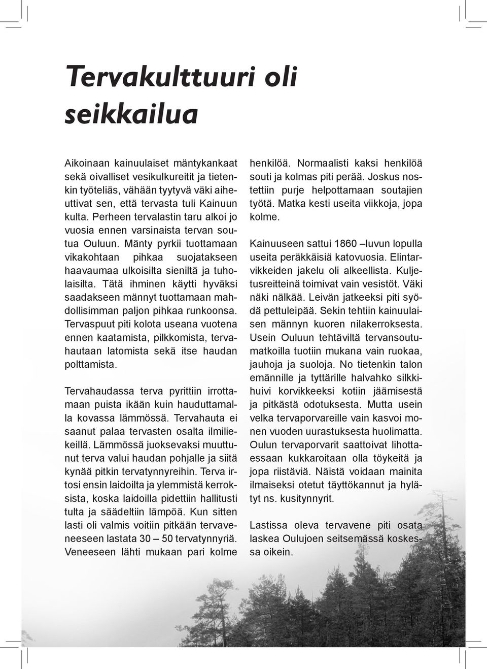Tätä ihminen käytti hyväksi saadakseen männyt tuottamaan mahdollisimman paljon pihkaa runkoonsa.