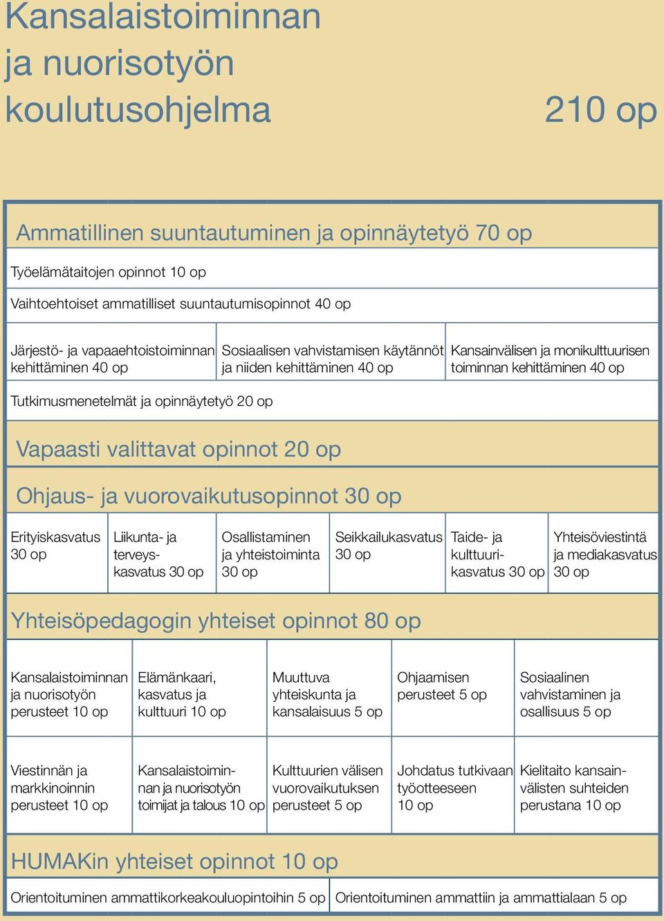 toiminnan kehittäminen 40 op Vapaasti valittavat opinnot 20 op Ohjaus- ja vuorovaikutusopinnot 30 op Erityiskasvatus 30 op Liikunta- ja terveyskasvatus 30 op Osallistaminen ja yhteistoiminta 30 op