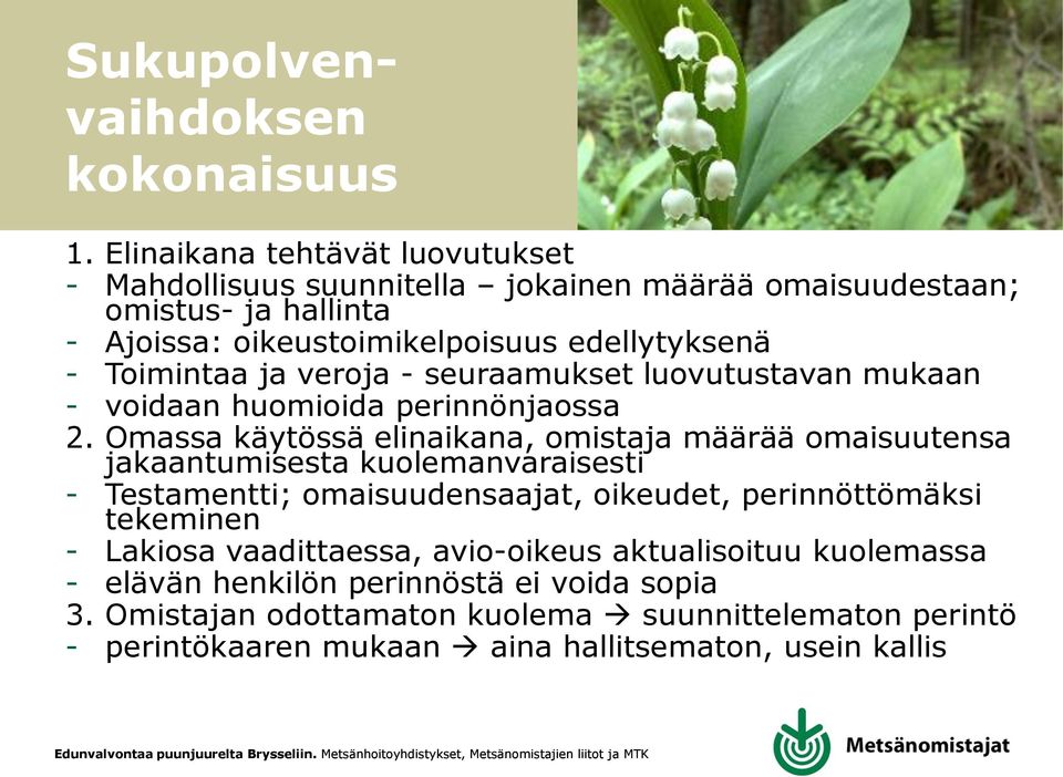 Toimintaa ja veroja - seuraamukset luovutustavan mukaan - voidaan huomioida perinnönjaossa 2.