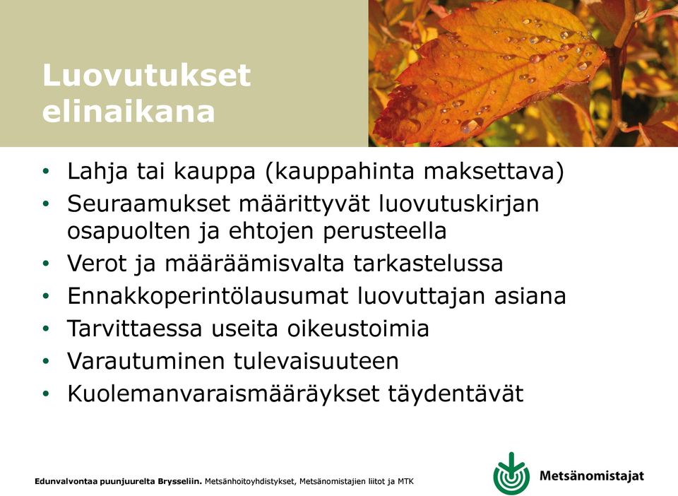 määräämisvalta tarkastelussa Ennakkoperintölausumat luovuttajan asiana