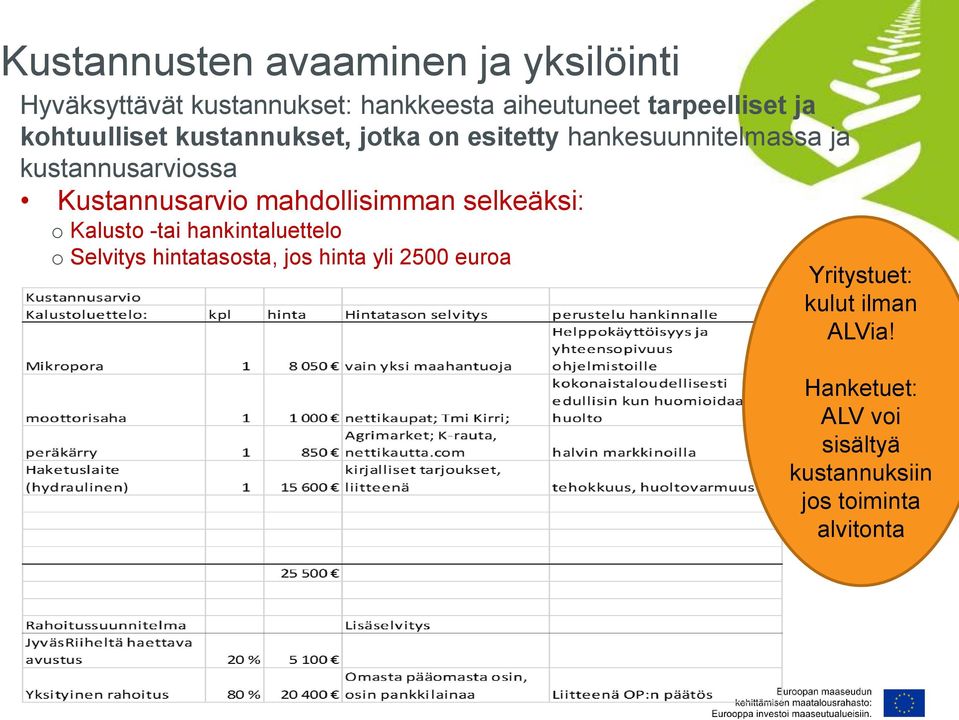 Kustannusarvio mahdollisimman selkeäksi: o Kalusto -tai hankintaluettelo o Selvitys hintatasosta, jos