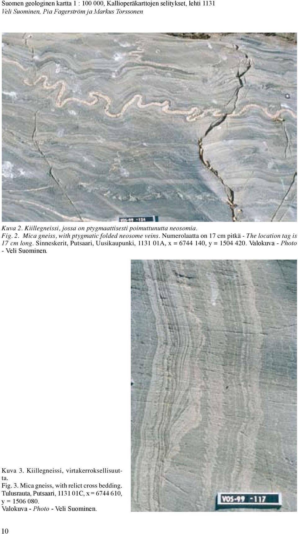 Valokuva - Photo - Veli Suominen. Kuva 3. Kiillegneissi, virtakerroksellisuutta. Fig. 3. Mica gneiss, with relict cross bedding.