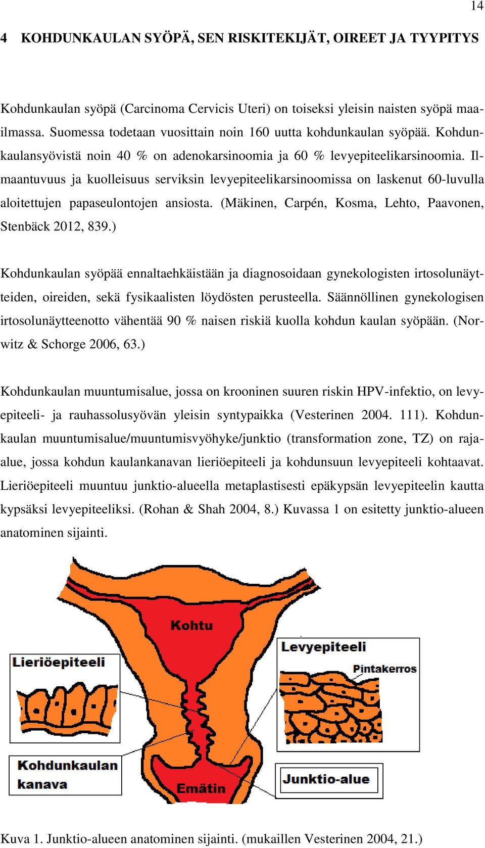 Ilmaantuvuus ja kuolleisuus serviksin levyepiteelikarsinoomissa on laskenut 60-luvulla aloitettujen papaseulontojen ansiosta. (Mäkinen, Carpén, Kosma, Lehto, Paavonen, Stenbäck 2012, 839.