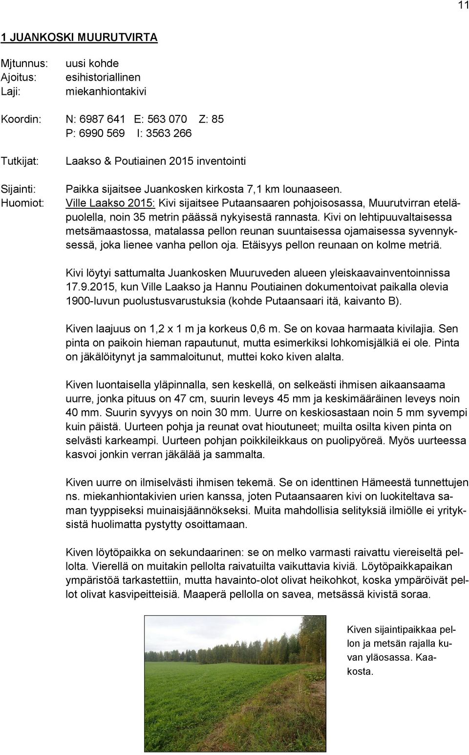 Ville Laakso 2015: Kivi sijaitsee Putaansaaren pohjoisosassa, Muurutvirran eteläpuolella, noin 35 metrin päässä nykyisestä rannasta.