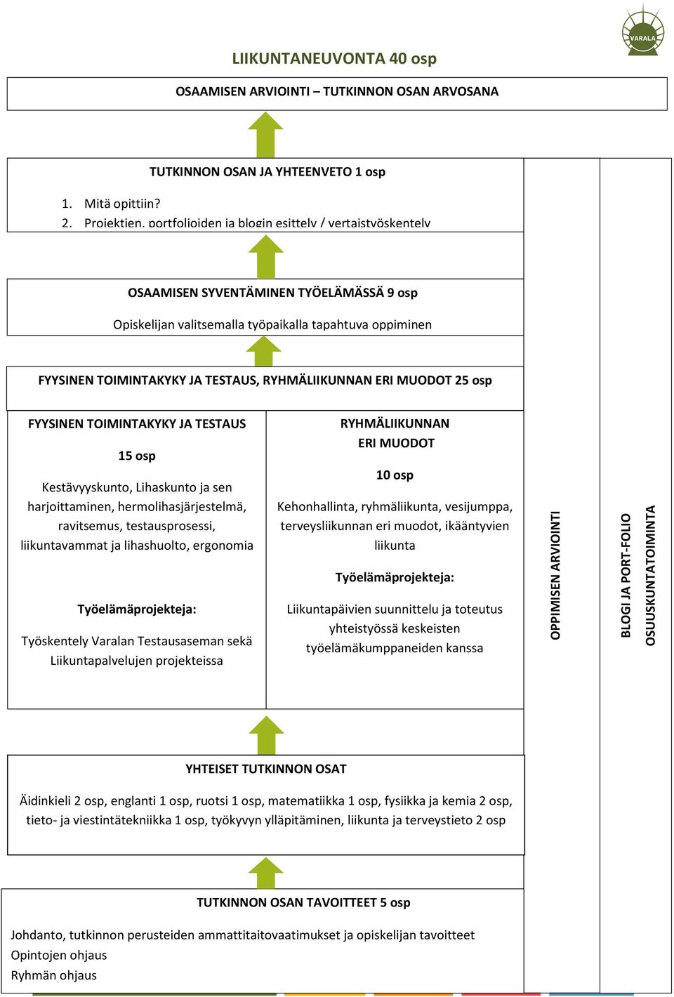 RYHMÄLIIKUNNAN ERI MUODOT 25 osp FYYSINEN TOIMINTAKYKY JA TESTAUS 15 osp RYHMÄLIIKUNNAN ERI MUODOT Kestävyyskunto, Lihaskunto ja sen harjoittaminen, hermolihasjärjestelmä, ravitsemus,