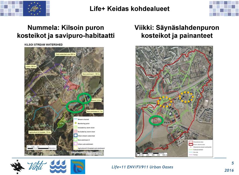 savipuro-habitaatti Viikki: