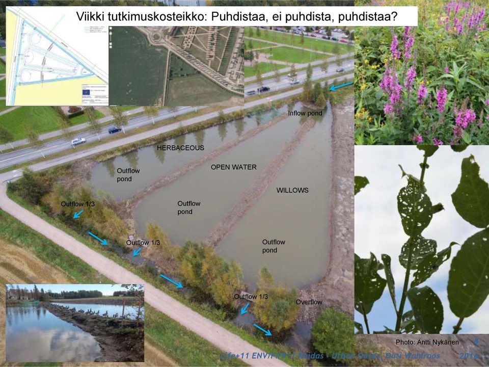 Inflow pond HERBACEOUS Outflow pond OPEN WATER WILLOWS