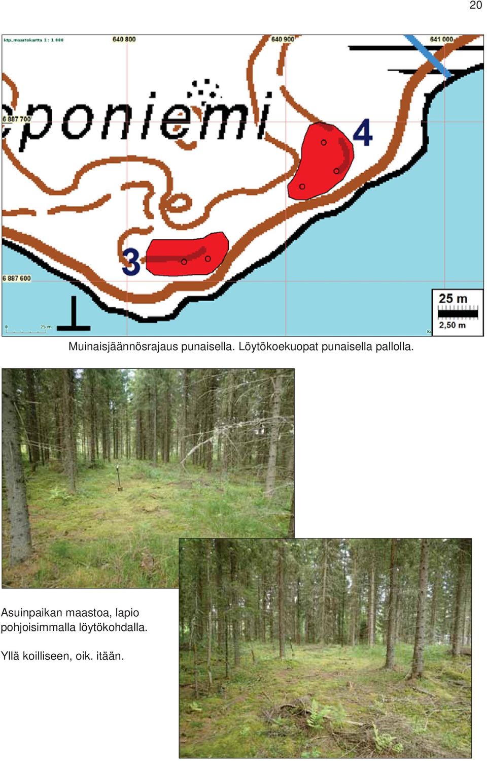 Asuinpaikan maastoa, lapio