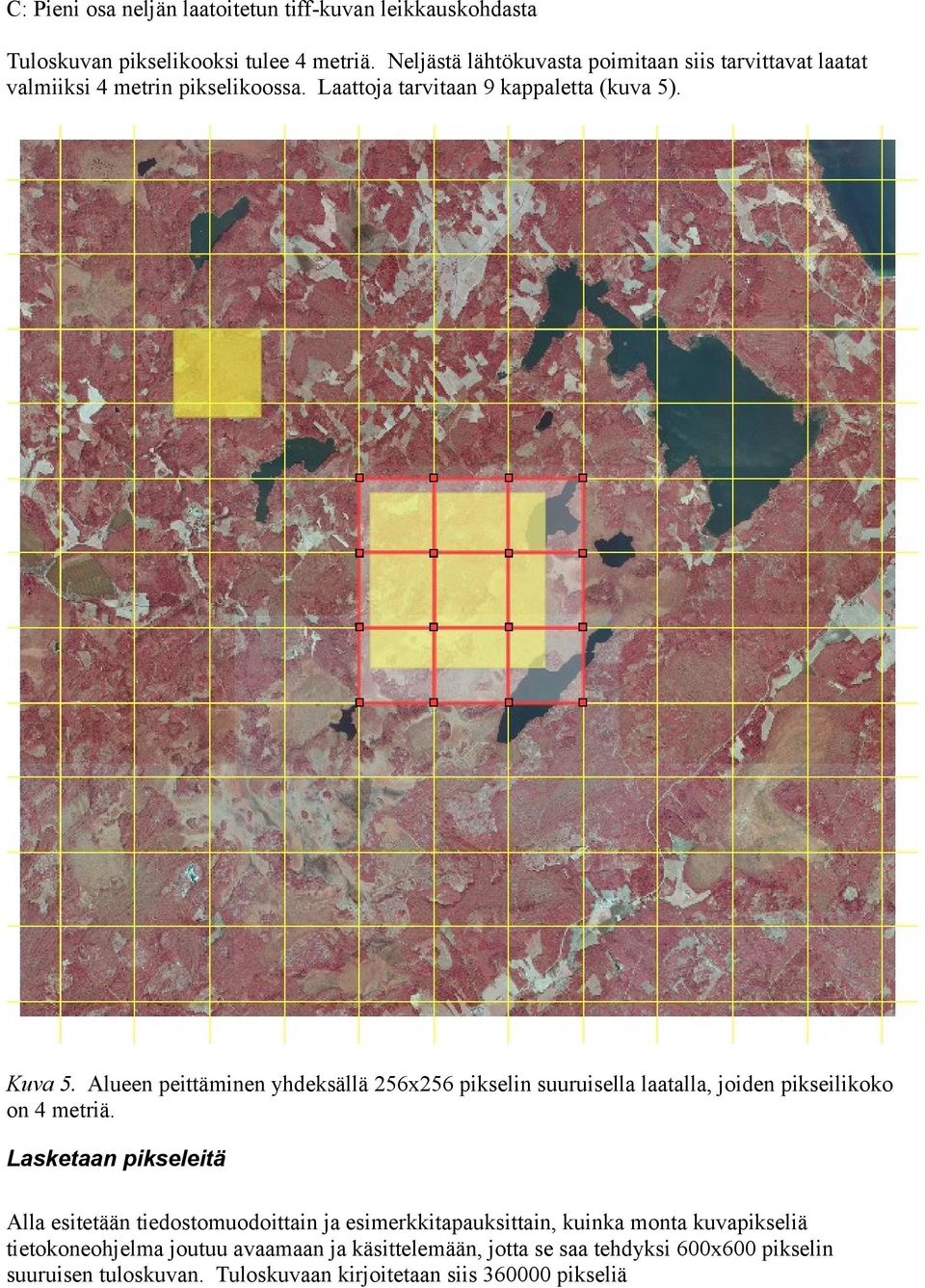 Alueen peittäminen yhdeksällä 256x256 pikselin suuruisella laatalla, joiden pikseilikoko on 4 metriä.
