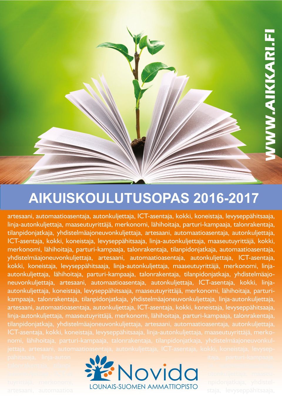 linja-autonkuljettaja, maaseutuyrittäjä, kokki, merkonomi, lähihoitaja, parturi-kampaaja, talonrakentaja, tilanpidonjatkaja, automaatioasentaja, yhdistelmäajoneuvonkuljettaja, artesaani,