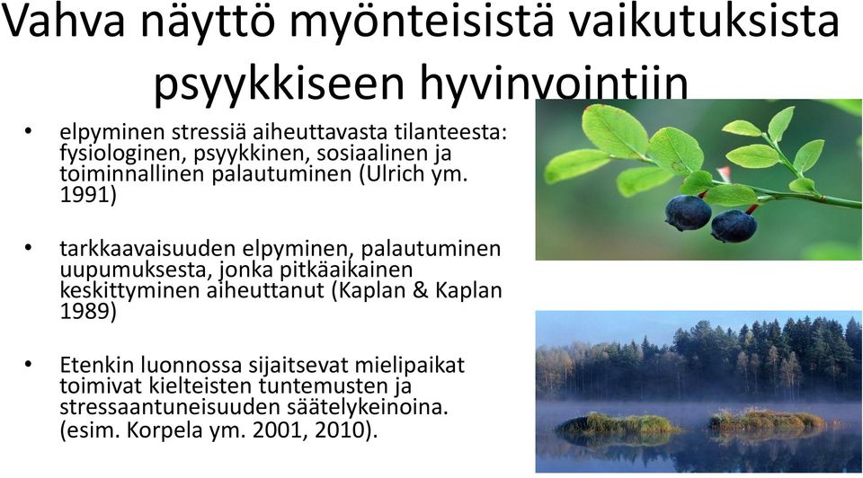 1991) tarkkaavaisuuden elpyminen, palautuminen uupumuksesta, jonka pitkäaikainen keskittyminen aiheuttanut (Kaplan &