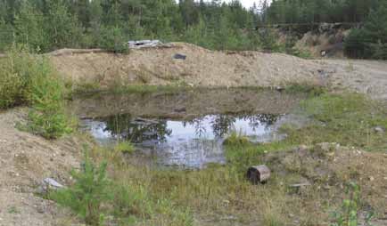 Alueen kunnostustarve on suuri, sillä alue on hyvin epäsiisti (kuva 17).