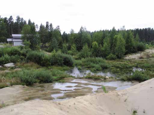 Pohjavesilammen viereisellä alueella (kuva 55) on ollut myös soranottoa ja otto on ulottunut osittain pohjavedenpinnan tasoon, osittain jopa pohjavedenpinnan alapuolelle.