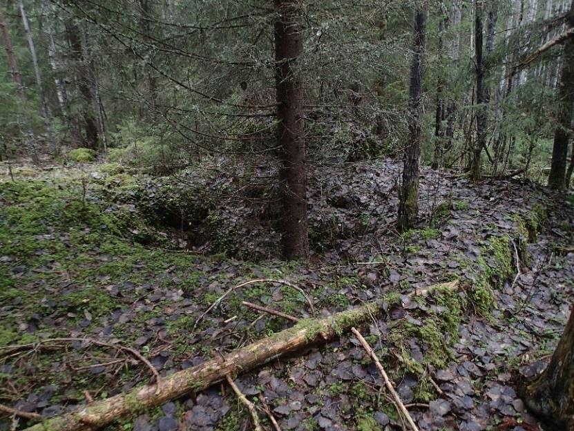mainitut raivausjäännökset. Asuinrakennuksen perustus kuvattuna länteen.