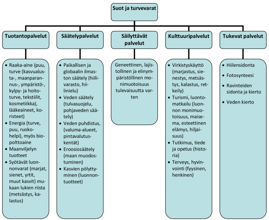 Kuva 8. Soiden ja turvemaiden tarjoamat ekosysteemipalvelut (MMM 2011).