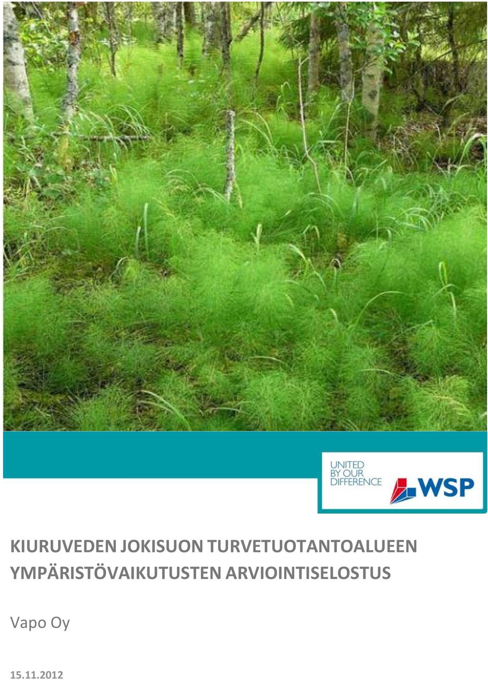 YMPÄRISTÖVAIKUTUSTEN