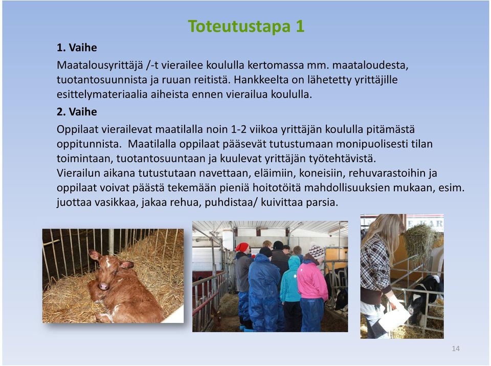 Vaihe Oppilaat vierailevat maatilalla noin 1-2 viikoa yrittäjän koululla pitämästä oppitunnista.