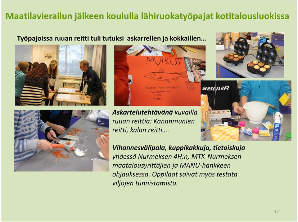 reitti, kalan reitti.