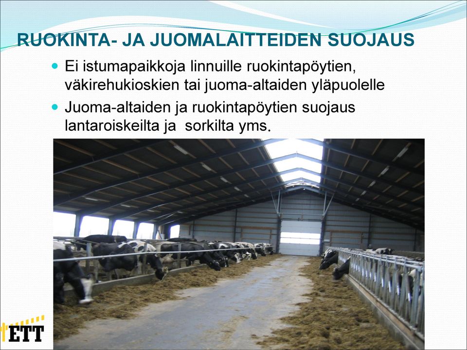 väkirehukioskien tai juoma-altaiden yläpuolelle