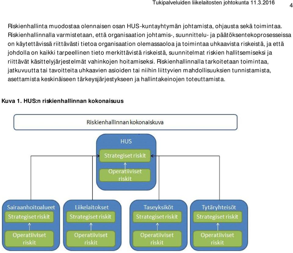 uhkaavista riskeistä, ja että johdolla on kaikki tarpeellinen tieto merkittävistä riskeistä, suunnitelmat riskien hallitsemiseksi ja riittävät käsittelyjärjestelmät vahinkojen