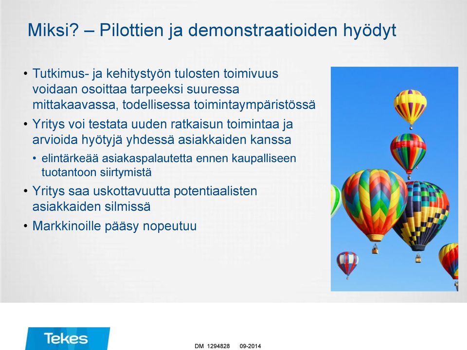 suuressa mittakaavassa, todellisessa toimintaympäristössä Yritys voi testata uuden ratkaisun toimintaa ja