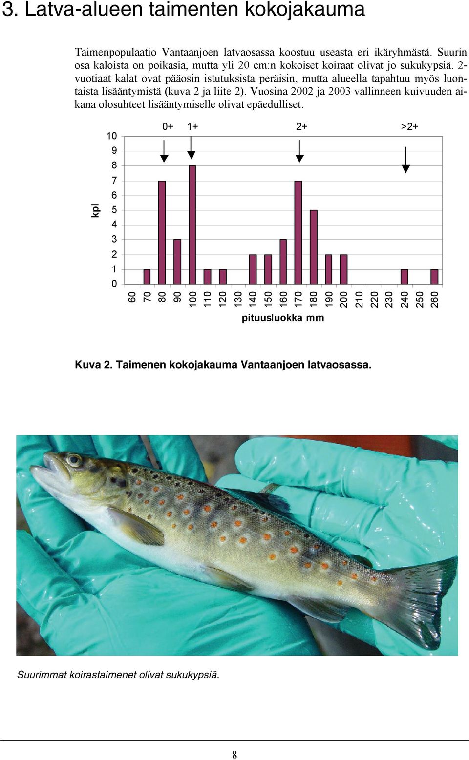 2- vuotiaat kalat ovat pääosin istutuksista peräisin, mutta alueella tapahtuu myös luontaista lisääntymistä (kuva 2 ja liite 2).