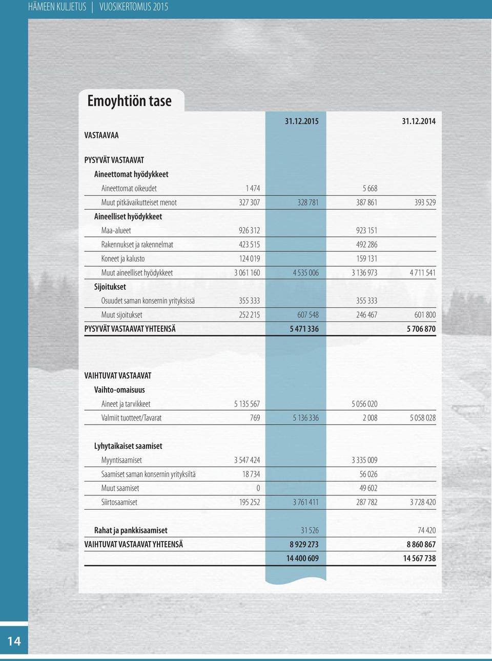 2014 PYSYVÄT VASTAAVAT Aineettomat hyödykkeet Aineettomat oikeudet 1 474 5 668 Muut pitkävaikutteiset menot 327 307 328 781 387 861 393 529 Aineelliset hyödykkeet Maa-alueet 926 312 923 151