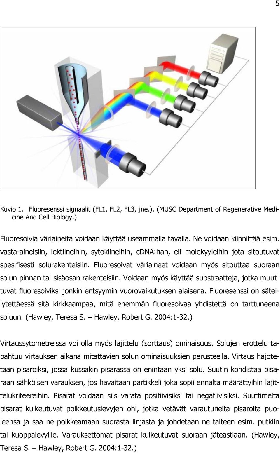 Fluoresoivat väriaineet voidaan myös sitouttaa suoraan solun pinnan tai sisäosan rakenteisiin.