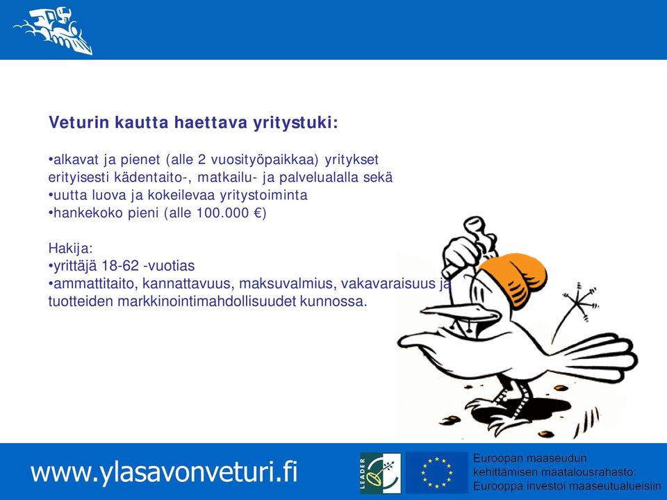 yritystoiminta hankekoko pieni (alle 100.