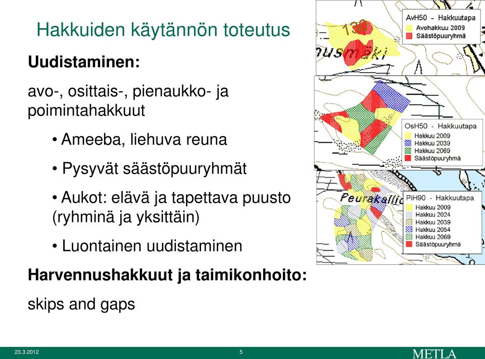 säästöpuuryhmät Aukot: elävä ja tapettava puusto (ryhminä ja