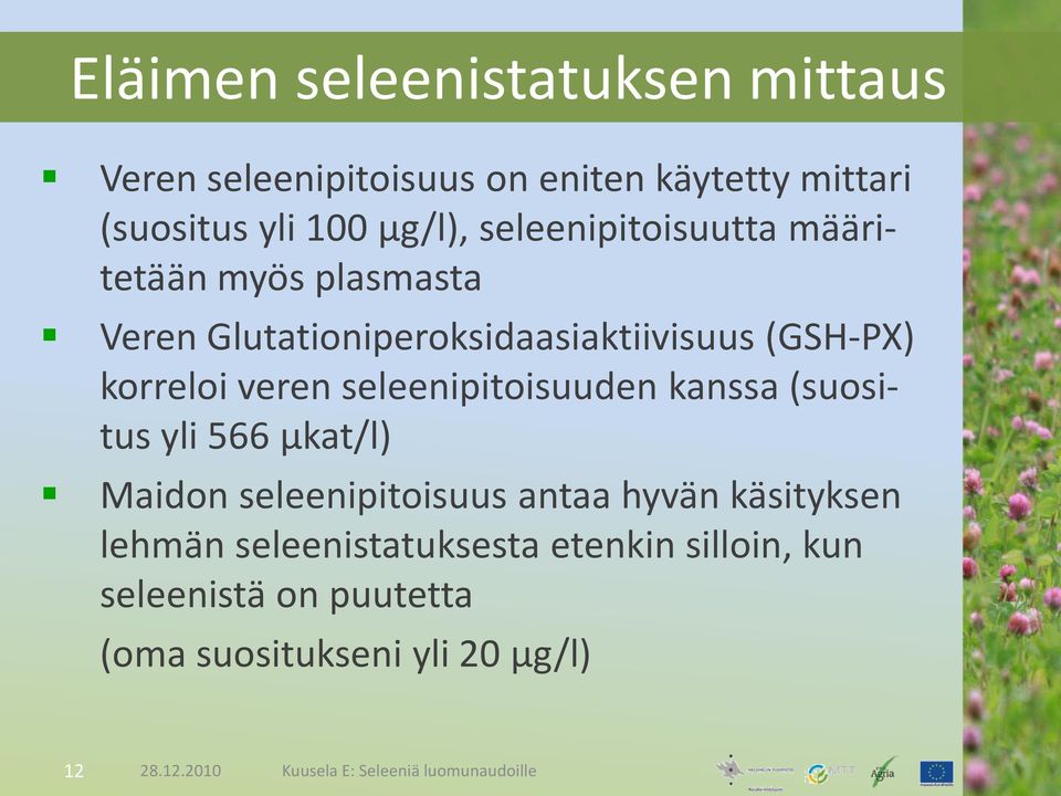 seleenipitoisuuden kanssa (suositus yli 566 µkat/l) Maidon seleenipitoisuus antaa hyvän käsityksen lehmän