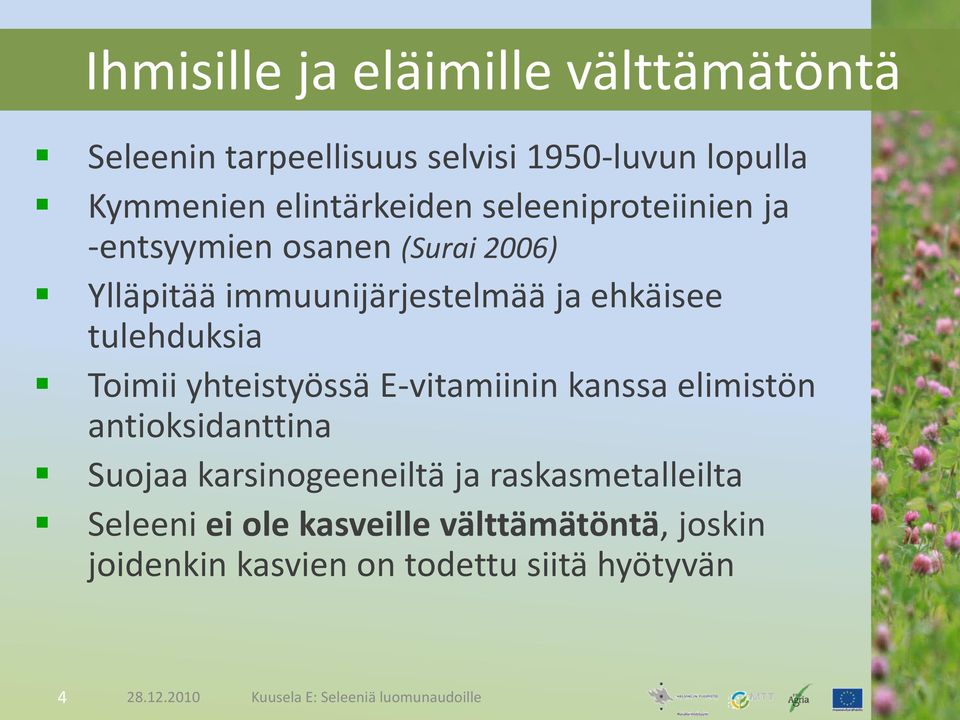 yhteistyössä E-vitamiinin kanssa elimistön antioksidanttina Suojaa karsinogeeneiltä ja raskasmetalleilta Seleeni ei