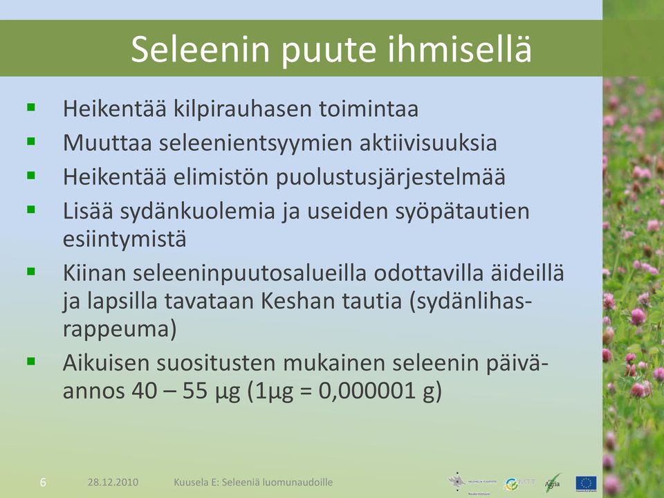 seleeninpuutosalueilla odottavilla äideillä ja lapsilla tavataan Keshan tautia (sydänlihasrappeuma)