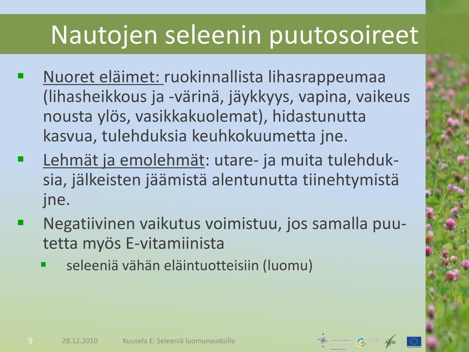 Lehmät ja emolehmät: utare- ja muita tulehduksia, jälkeisten jäämistä alentunutta tiinehtymistä jne.