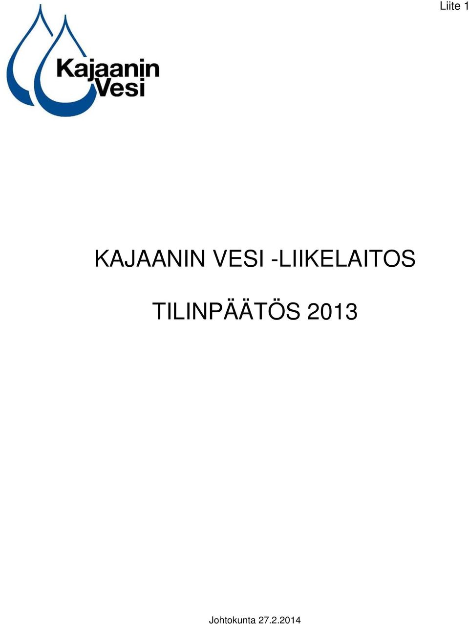 TILINPÄÄTÖS 2013