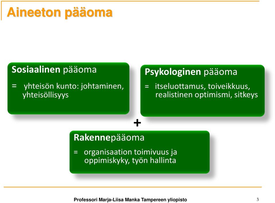 realistinen optimismi, sitkeys + Rakennepääoma = organisaation