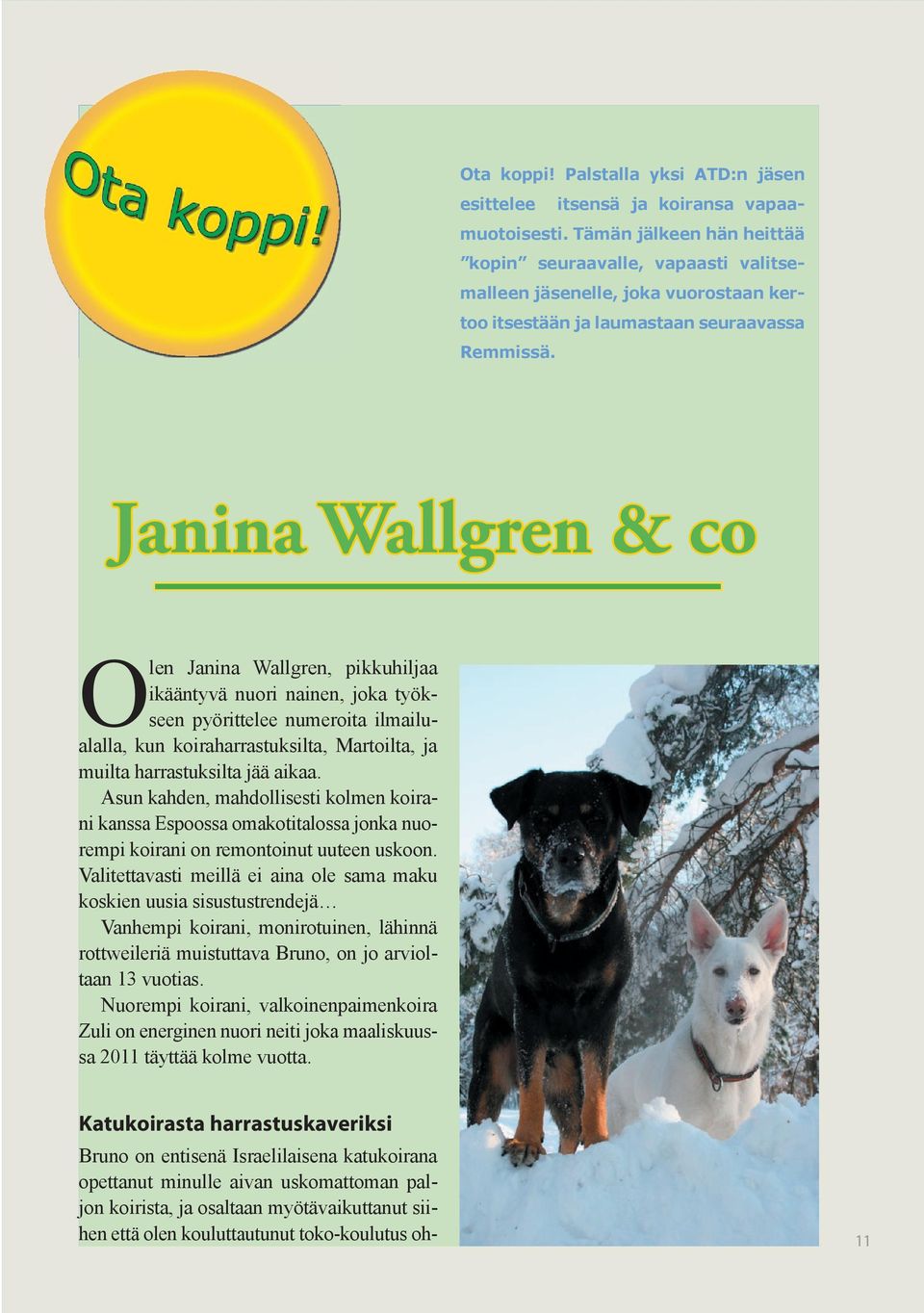 Janina Wallgren & co Olen Janina Wallgren, pikkuhiljaa ikääntyvä nuori nainen, joka työkseen pyörittelee numeroita ilmailualalla, kun koiraharrastuksilta, Martoilta, ja muilta harrastuksilta jää