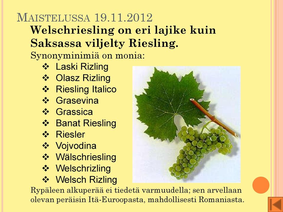 Grassica Banat Riesling Riesler Vojvodina Wälschriesling Welschrizling Welsch Rizling