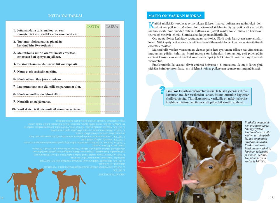 TOTTA TARUA MAITO ON VASIKAN RUOKAA Kaikki nisäkkäät tuottavat synnytyksen jälkeen maitoa poikasensa ravinnoksi. Lehmä ei ole poikkeus.