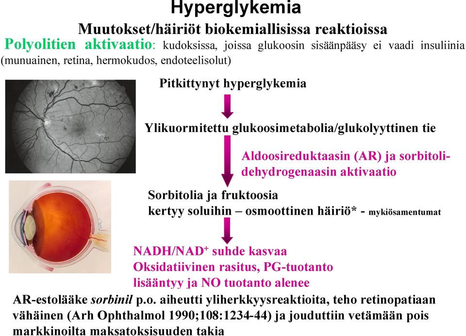 Sorbitolia ja fruktoosia kertyy soluihin osmoottinen häiriö* - mykiösamentumat NADH/NAD + suhde kasvaa Oksidatiivinen rasitus, PG-tuotanto lisääntyy ja NO tuotanto alenee