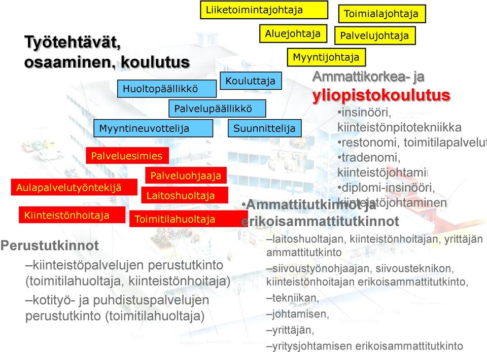 Aluejohtaja Suunnittelija Myyntijohtaja Palvelujohtaja Ammattitutkinnot ja erikoisammattitutkinnot laitoshuoltajan, kiinteistönhoitajan, yrittäjän ammattitutkinto siivoustyönohjaajan,