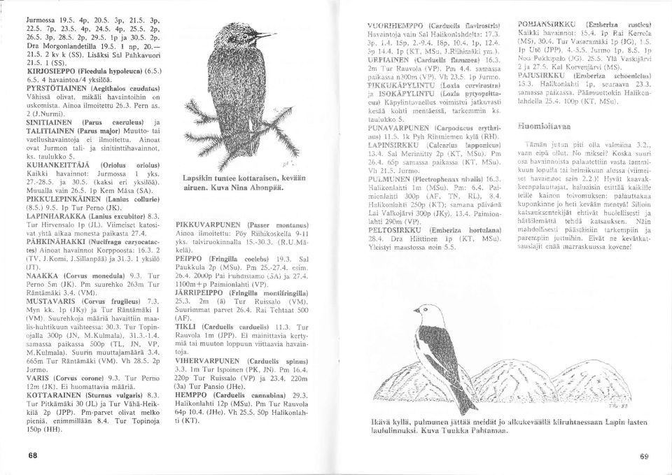 SIMTIAINEN (Parus caeruleur) ja TAIITIÄINEN (Parus mqlor) Muutto- tai vaellushavaintoja ei ilmoitettu. Ainoat ovat Jurmon tali- ja sinitinttihavainnot, ks. taulukko. KUHANKEITTÄ.